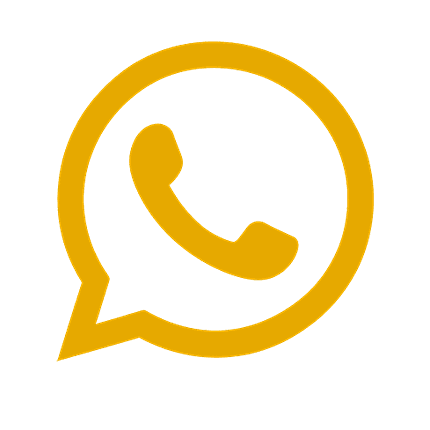 WhatsApp chat icon